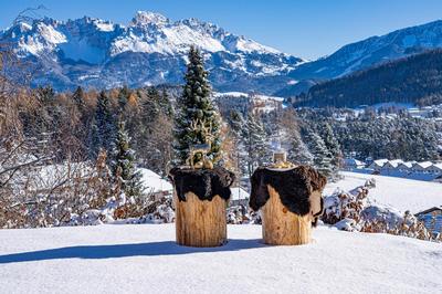 Chalet Schlossberg Rosengarten