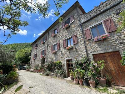 Il Castellare con alpaca