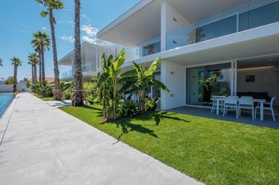 PALMS EDITION