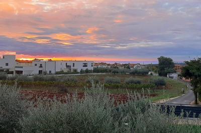 Purple Sky by Briskva
