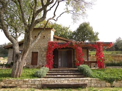 Scappo in Umbria, Le Salce