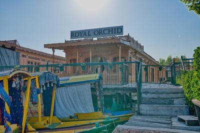 Best View Group Of Houseboats