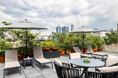 Boga Mexico City by Lumina