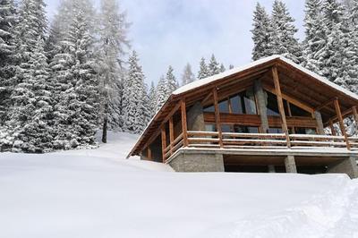 Chalet Alpen