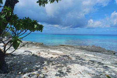 Rairoa Lodge Bungalow