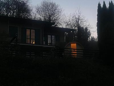 Il Bosco Incantato