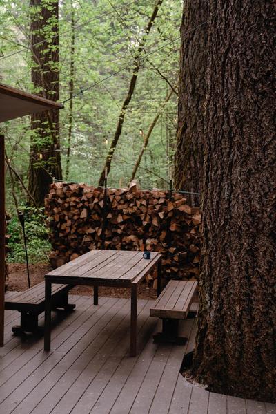 Your private Yurt in the woods - Nevada City