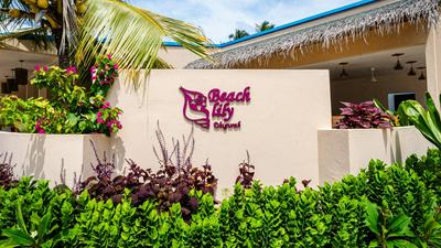 Beach Lily Dhigurah
