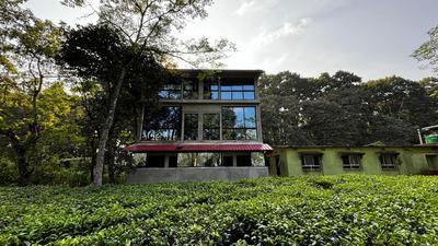 ROOTS by MOUNT OLIVE