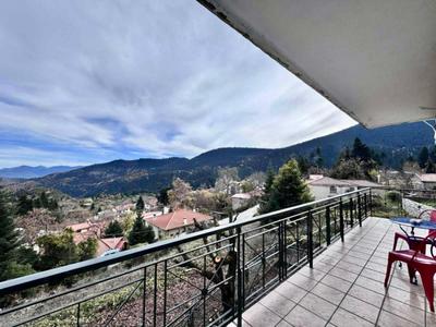 Casa de PavL-2