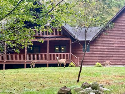 Stylish Adult Retreat Next To Delaware Water Gap