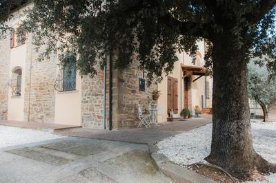 DONNA LAURA - Holiday Home