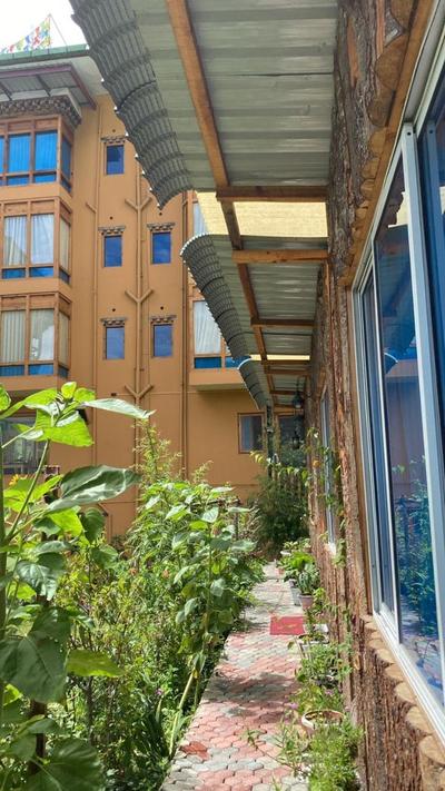 Forest Boutique - Hotel in Thimpu