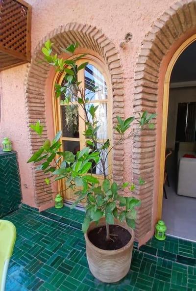 Appartement Palmeraie avec terrasse