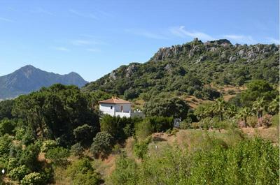casa cerrillo las flores