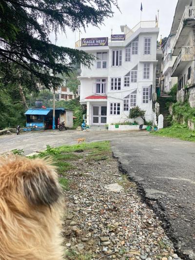 Hotel Eagle Nest central heated