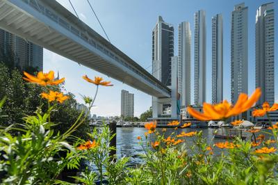 Maikai Studios Praias