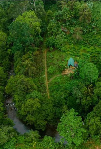 Rainforest cabin