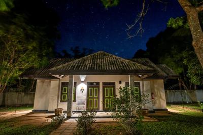 Oak Ray Elephant Lake