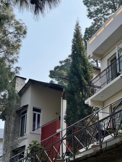 Amritara Kasauli Kollections "Stags allowed"