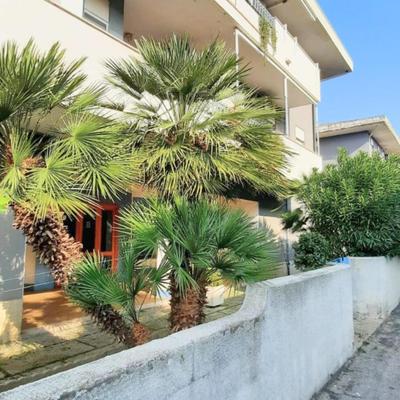 Magnolia Bianca Apartment