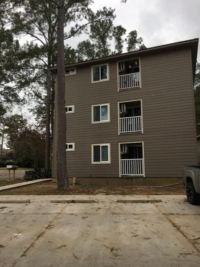Window to Paris Studio on Lake Conroe