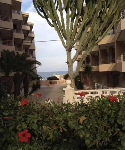 Spacious Contemporary 3 Bedroom Apartment in Spain close to the beach Guardamar del Segura