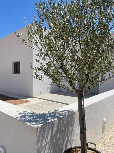 Saliagos villas complex with private pools