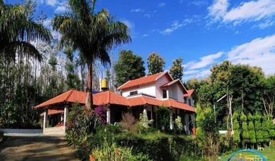 Elegance Homestay