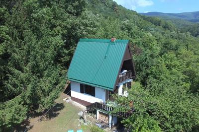 UNDER THE GREEN ROOF