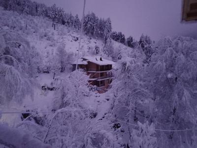 Forest View Homestay