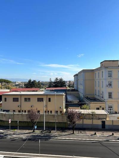 Luxury Apartment House481