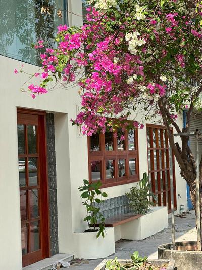 JOYur Home - Tea n Coffee