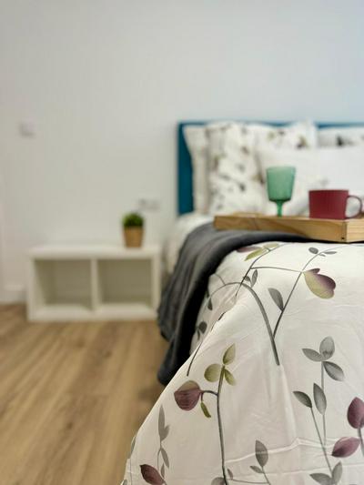 Apartamento Céntrico con Parking Privado
