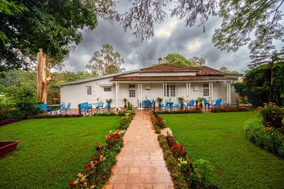 Neemrana's Wallwood Garden