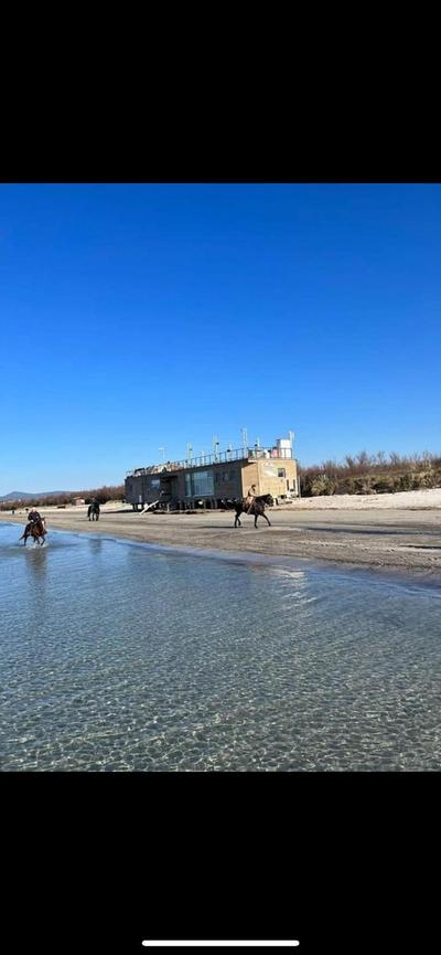 La Conchiglia sul Mare