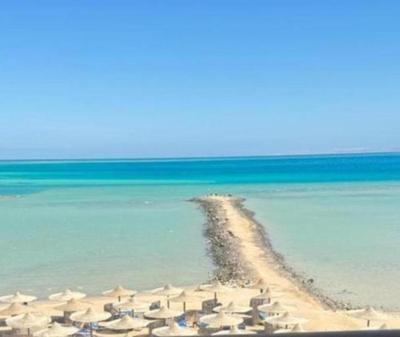 Turtle beach apartment