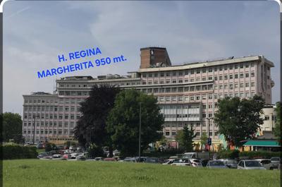 Dimora TeLu' Trilocale difronte Lingotto Fiere