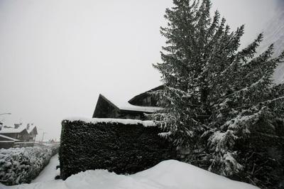 Lovely Home with Breathtaking View of Mont Blanc