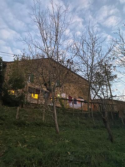 Creative escape in the country
