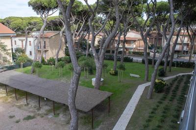Nido sul mare - Fronte spiaggia