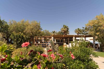 Phāea Cretan Malia, a Member of Design Hotels