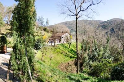 Le Piane