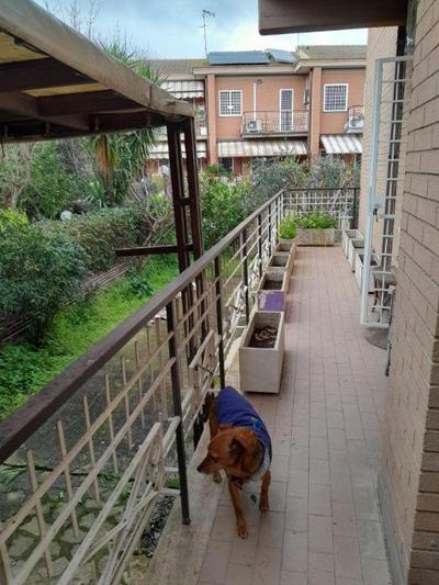 La Mattina - Fiera di Roma - Aeroporto Fiumicino
