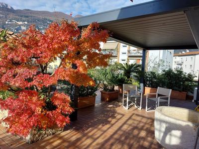 Appartamento la Terrazza
