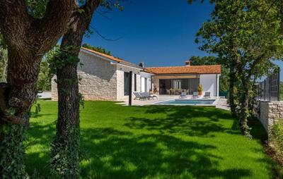 Luxury villa Gala with pool and grill in Tinjan