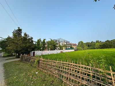 Kohua Guest House