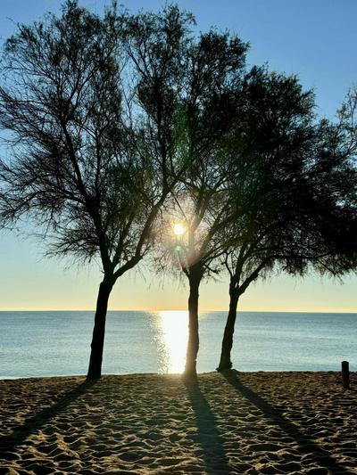 BADAROSA House10min to BARCELONA City&NearTo BEACH