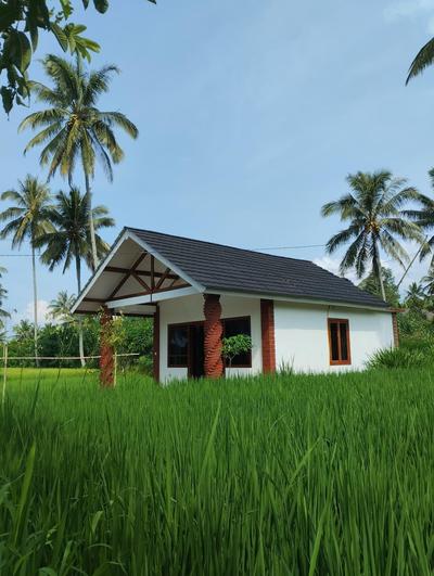 Rice Field inn - Lombok