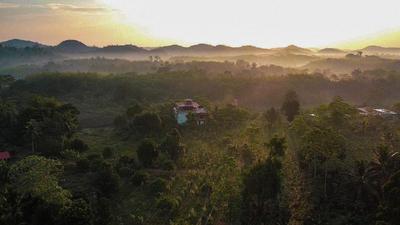 Manikgoda Tea Paradise